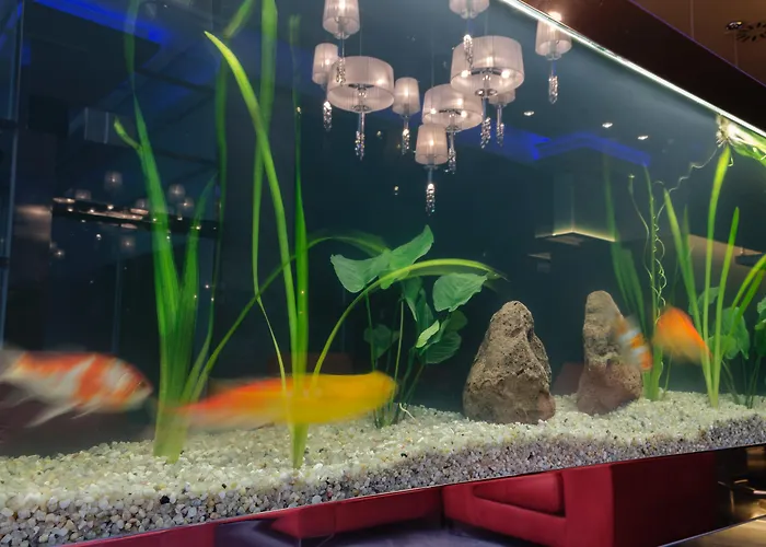 Agua De Mar Boutique Ξενοδοχείο 4*